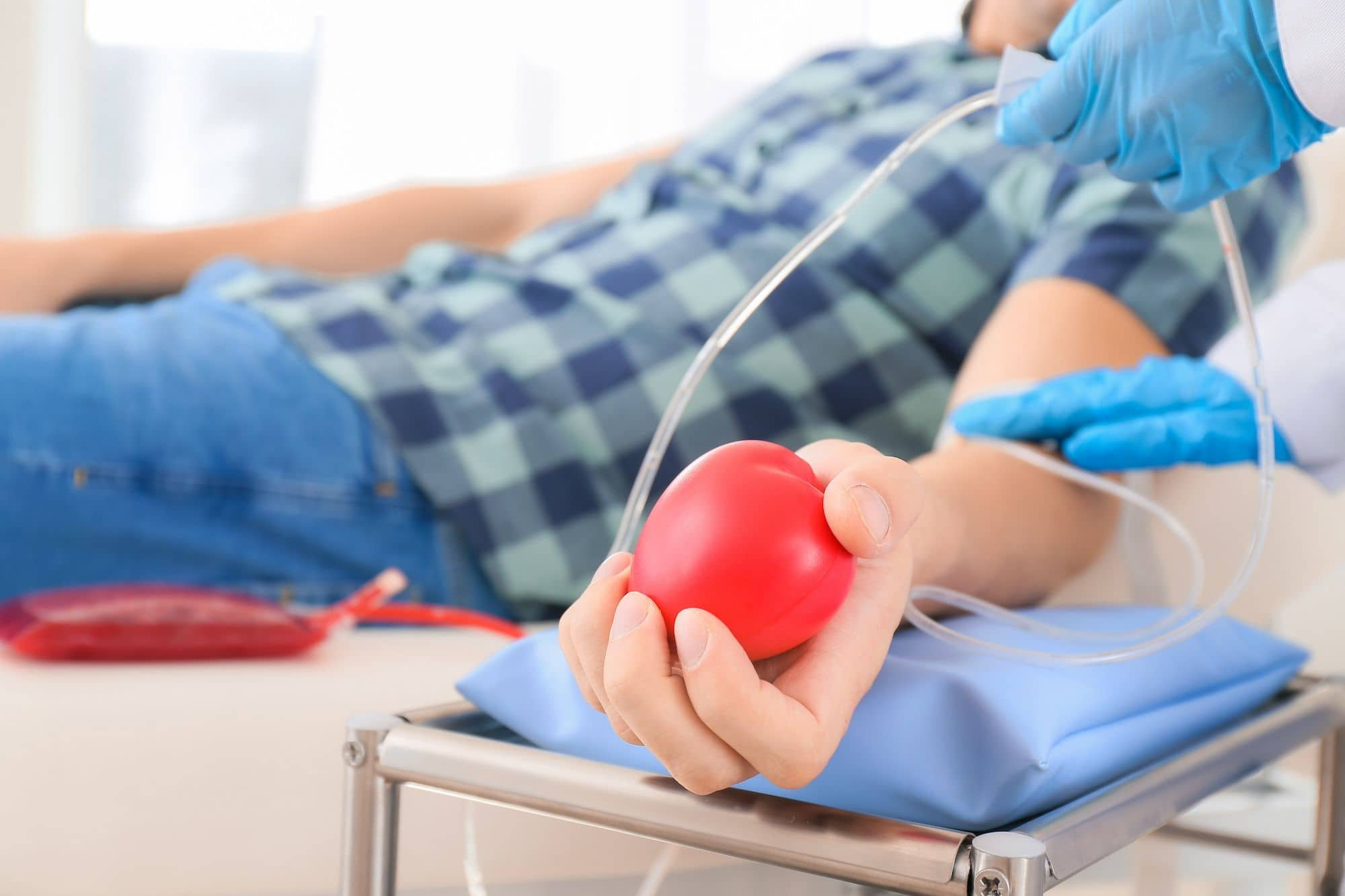 Avis Comunale di Rapallo - Guida alla donazione: procedura, idoneità e FAQ