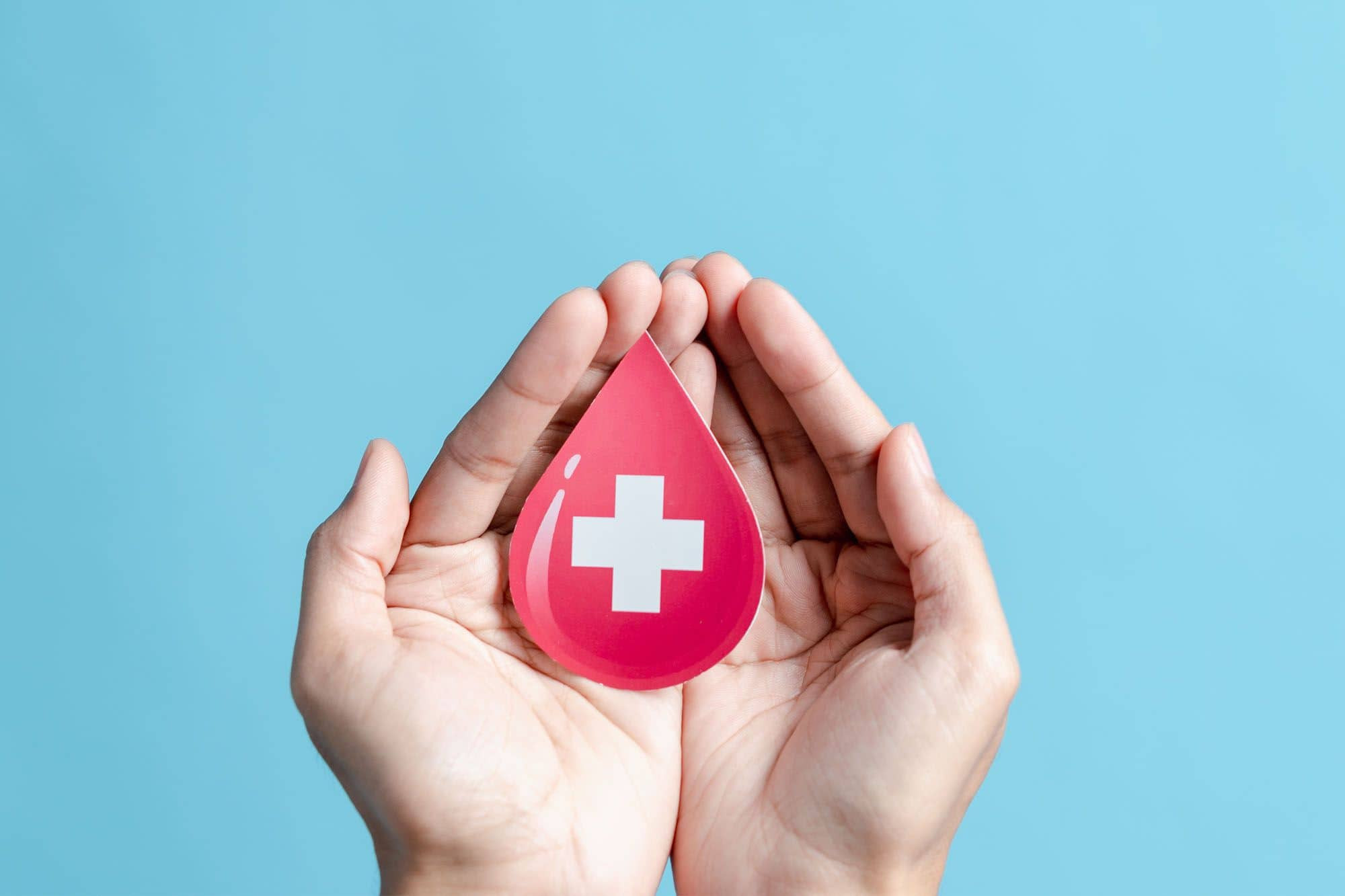 Avis Comunale di Rapallo - Scopri il mondo della donazione